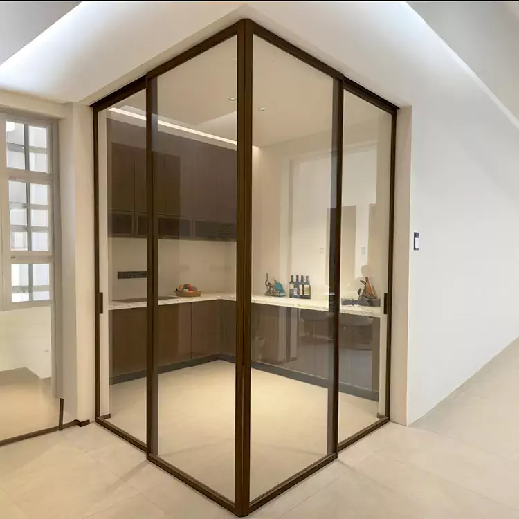 Frameless vitreum PROLAPSIO Door